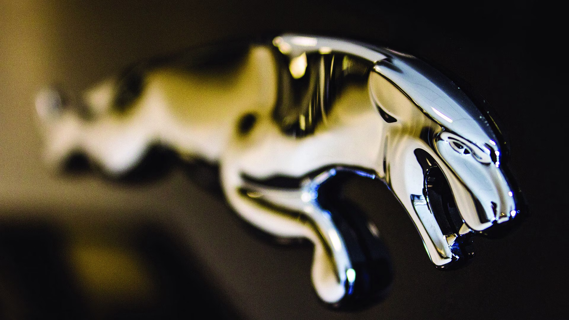 Jaguar brand hero